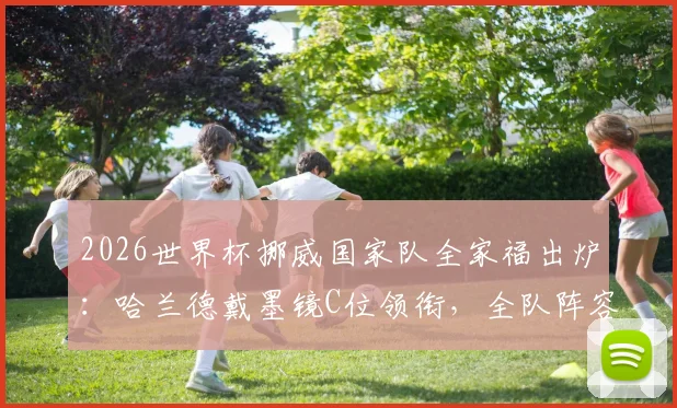 2026世界杯挪威国家队全家福出炉：哈兰德戴墨镜C位领衔，全队阵容名单及球员解析一览